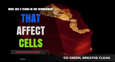 Environmental Toxins: 3 Cellular Threats and Their Impact on Health