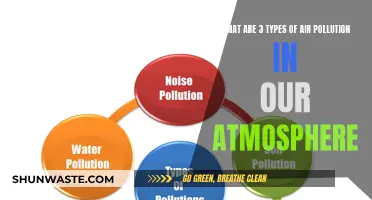 Air Pollution: Understanding 3 Major Atmospheric Toxins