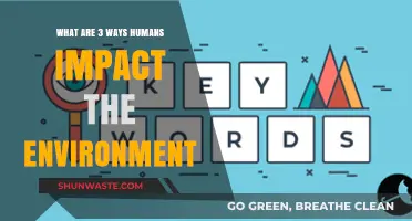 Human Actions and Their Environmental Impact: 3 Key Ways