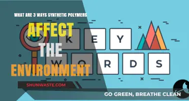 Synthetic Polymers' Environmental Impact: 3 Key Ways They Harm Ecosystems