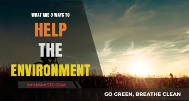 Simple Eco-Friendly Actions: 3 Effective Ways to Protect Our Planet