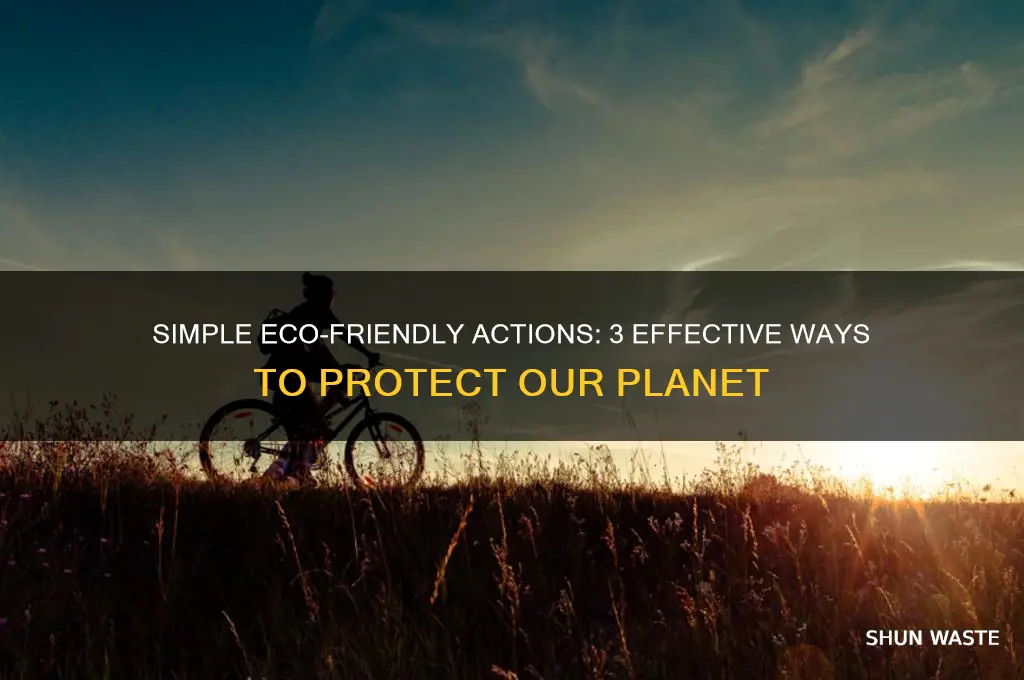 what are 3 ways to help the environment