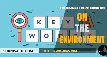 Human Activities and Their Devastating Environmental Consequences Explained
