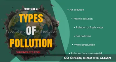Understanding the Four Main Types of Pollution