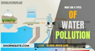 Unveiling the Four Faces of Water Pollution