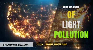 Light Pollution's Four Horsemen