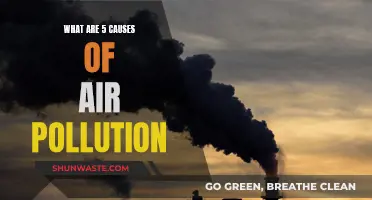 Unveiling the Hidden Causes: 5 Factors Behind Air Pollution