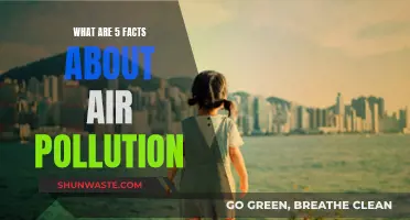 Air Pollution: 5 Facts You Need to Know