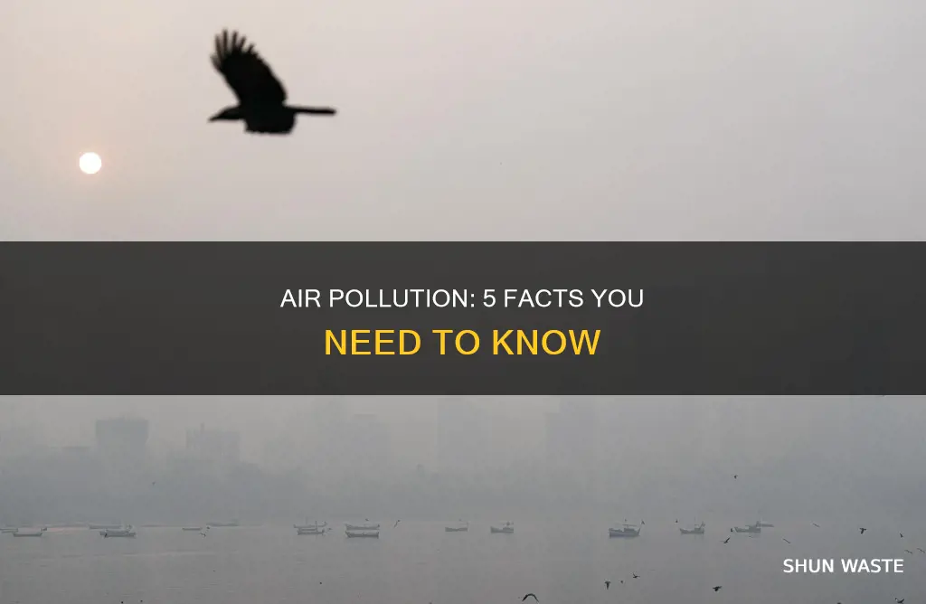 what are 5 facts about air pollution