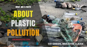 Plastic Pollution: 5 Startling Facts You Need to Know