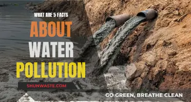 Unveiling Water's Dark Secrets: 5 Shocking Facts About Pollution