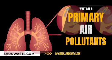 Air Pollutants: 5 Primary Toxins We Breathe