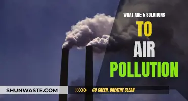 Solutions to Reduce Air Pollution: Five Effective Strategies