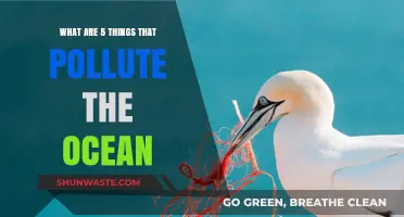 Ocean Pollution: Five Major Culprits, Huge Impact