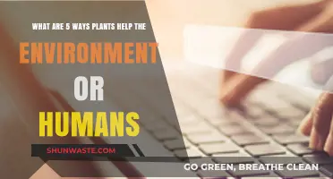 How Plants Benefit Our Environment and Enhance Human Life