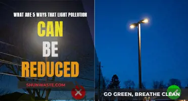 Reducing Light Pollution: 5 Simple Strategies