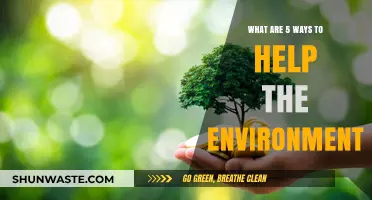 Sustainable Living: 5 Simple Eco-Friendly Habits to Save Our Planet