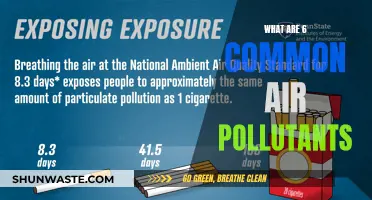 Air Quality Alert: 6 Common Pollutants to Watch Out For