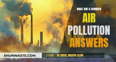 Air Pollution: 6 Common Questions Answered
