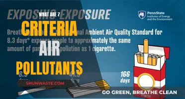 Air Quality: Seven Criteria Pollutants You Need to Know