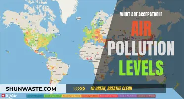 Air Pollution: What Are Safe Levels?