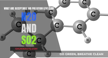 Air Pollution: Safe N2O and SO2 Levels?