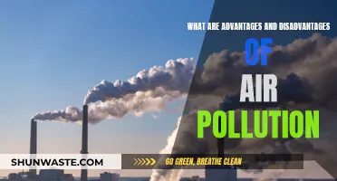 Air Pollution: Benefits and Drawbacks Explained