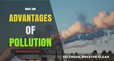 Pollution's Surprising Benefits: An Environmental Paradox