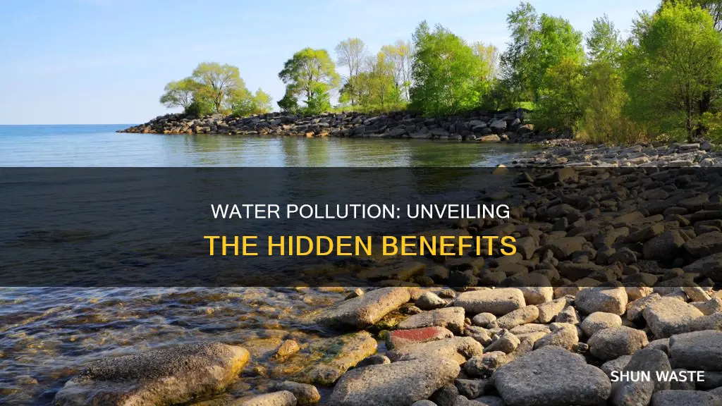 what are advantages of water pollution