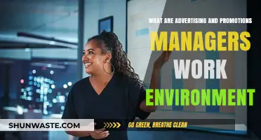 Exploring the Dynamic Work Environment of Advertising and Promotions Managers