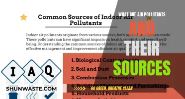 Air Pollutants: Understanding Their Sources and Impact