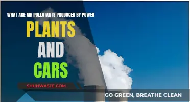 Air Pollutants: Power Plants, Cars, and Our Health