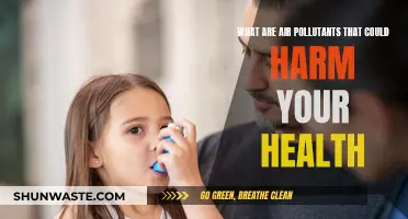 Air Pollutants: Harmful Toxins in the Air We Breathe