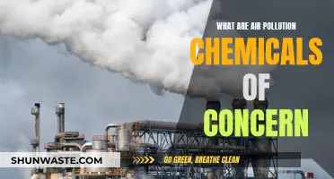 Air Pollution: Hazardous Chemicals and Your Health