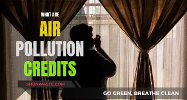 Air Pollution Credits: Innovative Solution to Combat Air Pollution