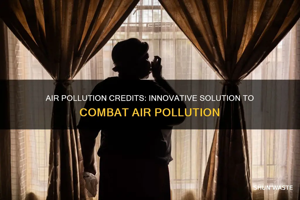 what are air pollution credits