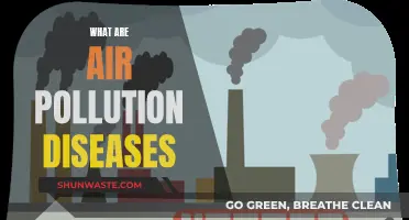 Air Pollution: Diseases and Disorders