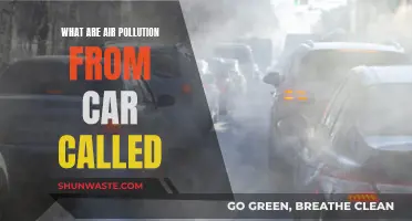 Automotive Air Pollution: Understanding Car Emissions and Their Impact