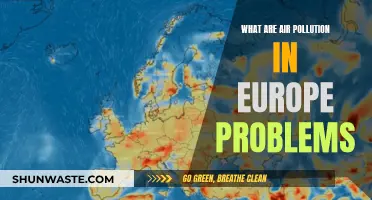 Air Pollution in Europe: Problems and Challenges