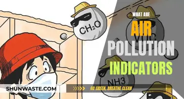 Air Pollution Indicators: Understanding the Vital Signs