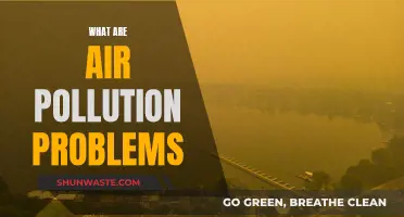 Air Pollution: Understanding the Problems We Breathe
