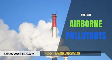 Airborne Pollutants: Understanding the Invisible Threat