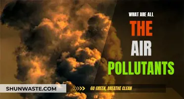 Air Pollutants: Understanding the Many Threats to Our Atmosphere