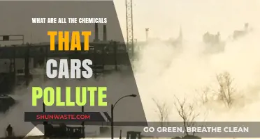 Cars' Chemical Pollution: Understanding the Toxic Truth