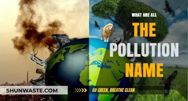 Understanding the Many Faces of Environmental Pollution