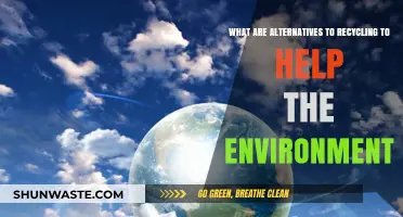 Beyond Recycling: Sustainable Alternatives to Protect Our Planet Effectively