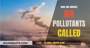 Air Pollutants: What's Lurking in the Air We Breathe?