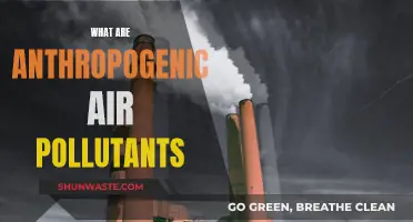 Anthropogenic Air Pollutants: Understanding Human-Caused Air Pollution