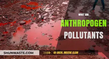 Human-Caused Pollutants: What Are Anthropogenic Pollutants?