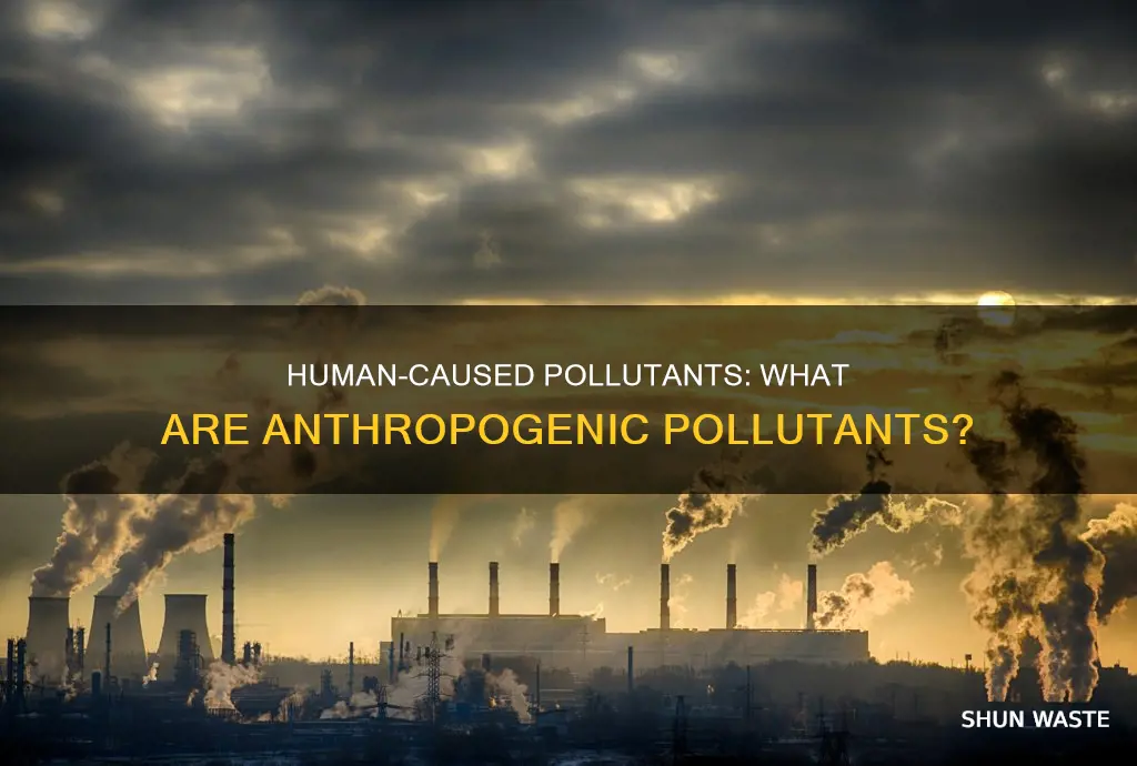 what are anthropogenic pollutants